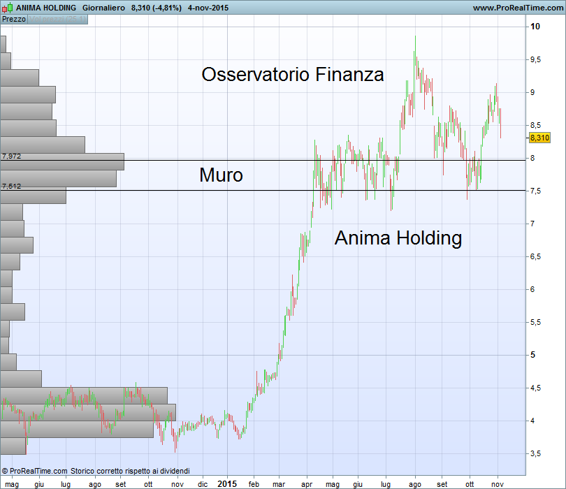 ANIMA HOLDING